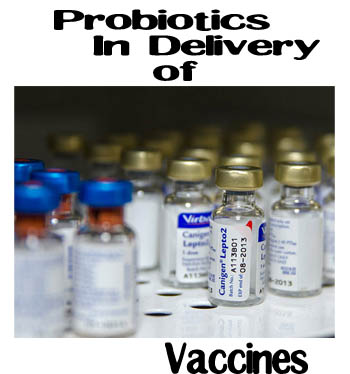 probiotic-vaccines