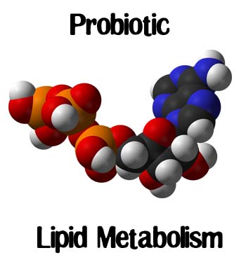 lipid-metabolism